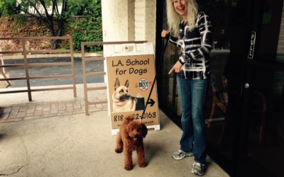 Baxter’s First Day at School!