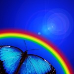 butterfly-rainbow